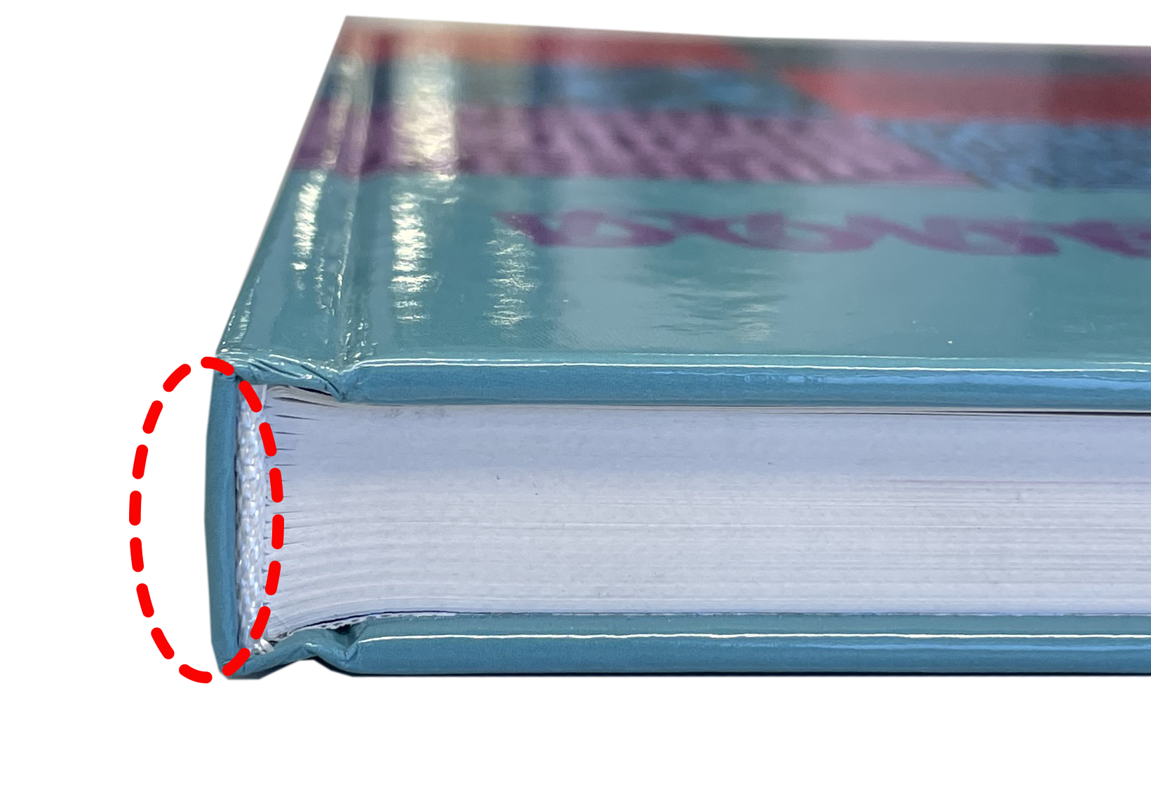 Rugdikte boek